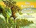 The Forest in the Clouds