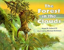 The Forest in the Clouds