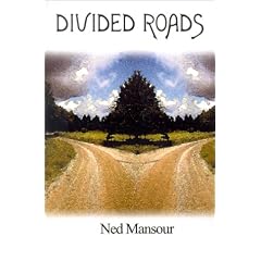 Divided Roads