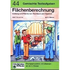 Flächenberechnung, Gemischte Textaufgaben (Taschenbuch)