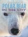 Polar Bear in the City (Animal Story)