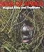 The Heart of Africa (Magical Rites and Traditions)