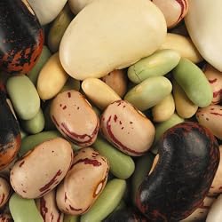 Bean Sampler (Set of 4) by ChefShop