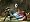 The Legend of Zelda: The Twilight Princess (GameCube)
