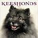 Keeshonds 2002 Wall Calendar