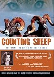 Search : Counting Sheep