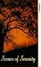 Scenes Of Serenity - Vol. 2 [UK IMPORT]