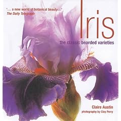 Iris The Classic Bearded Varieties