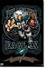 Philadelphia Eagles Mascot NFL Art Poster Print 22x34