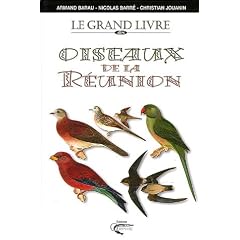 Oiseaux de la R�union