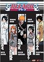 Bleach: Character Highlight Wall Scroll