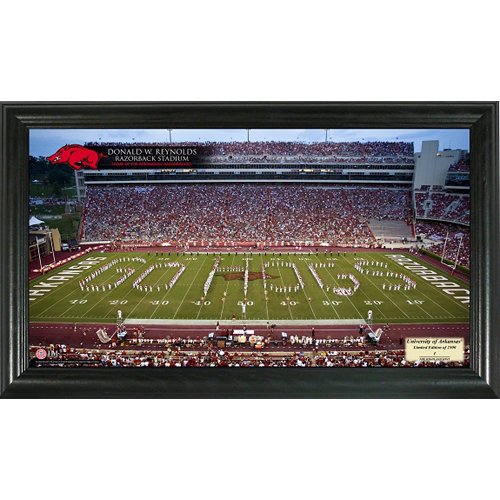 Arkansas Stadium Gridiron Photo at Amazon.com