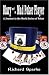 Diary of a Mad Poker Player: A Journey to the World Series of Poker