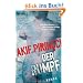 Der Rumpf: Roman