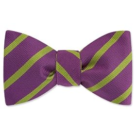 Balboa Stripe Freestyle Bowtie by Bowties Unlimited - Purple Silk