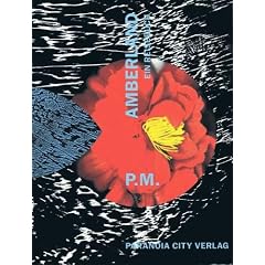 Amberland: Reisebuch