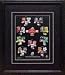Canadian Football League 8X10 Print-Framed - Cfl Jerseys On Black Mat