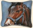 Fiddlers Elbow Blaze Horse With Blue Halter Pillow &copy; Adeline Halvorson