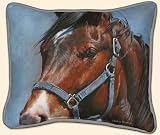 Fiddlers Elbow Blaze Horse With Blue Halter Pillow &copy; Adeline Halvorson