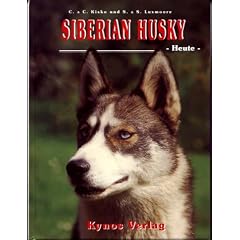 Siberian Husky - Heute