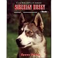Siberian Husky - Heute