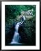 The Argyll Falls, Argyll Falls, Trinidad & Tobago Framed Art Poster Print by Michael Lawrence, 31x39
