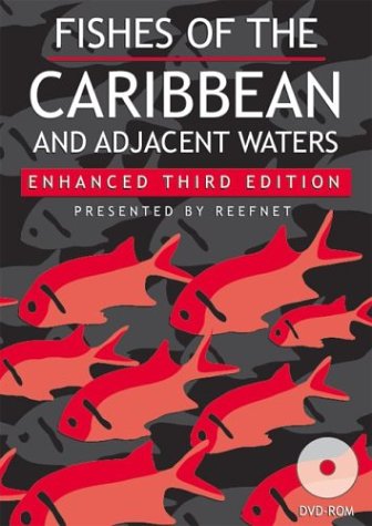 Caribbean