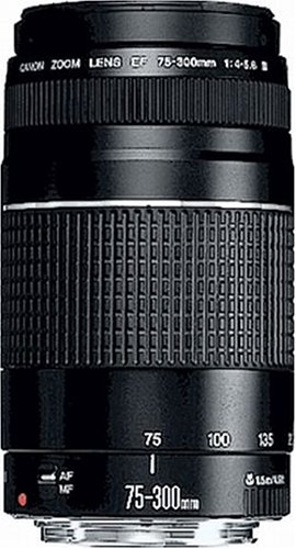 Canon EF 75-300mm/ 4,0-5,6/ III Objektiv