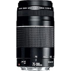 Canon EF 75-300mm/ 4,0-5,6/ III Objektiv