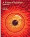 Book Vision of the Brain