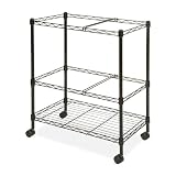 Lorell 45650 Mobile Filing Cart, 2-Tier, Ltr/Lgl, 26 in.x12-1/2 in.x30 in., Black