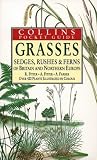 Grasses, Sedges, Rushes and Ferns of Britain and Northern Europe (Collins Pocket Guide)