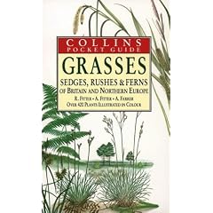 Grasses, Sedges, Rushes and Ferns of Britain and Northern Europe (Collins Pocket Guide)