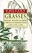 Book Grasses, Sedges, Rushes and Ferns of Britain and Northern Europe (Collins Pocket Guide)