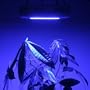 LED Wholesalers 2506BU Blue 90 x 1 Watt LED High Power Round Grow Light