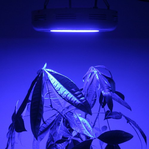 LED Wholesalers 2506BU Blue 90 x 1 Watt LED High Power Round Grow Light
