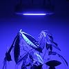 LED Wholesalers 2506BU Blue 90 x 1 Watt LED High Power Round Grow Light