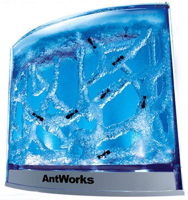 Fascinations Antworks Illuminated