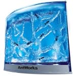 Fascinations AntWorks