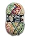 OPAL 靴下用毛糸 2104_Hundertwasser (フンデルトヴァッサー) 100g/玉, 425m