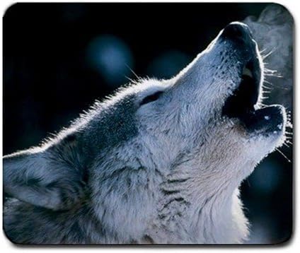 lisaKim Penguins With Ballons Office&Gaming Rectangle Mouse Pad in 250mm*200mm*3mm