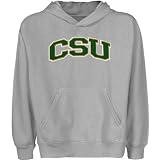 NCAA Colorado State Rams Youth Ash Arch Applique Pullover Hoody