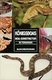 K�nigsboas ( Boa Constrictor) im Terrarium