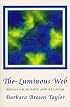 Luminous Web: Essays on Science and Religion
