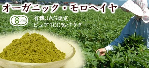 島根産 有機JAS オーガニック モロヘイヤ 100g/約50日分