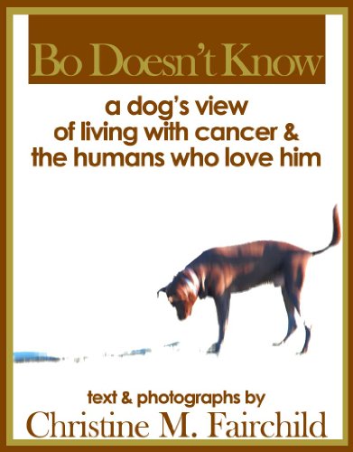 Bo Doesn't Know