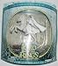 Gandalf on Shadowfax armies of middle earth (Lord of the Rings)_s-1