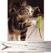 Da Bird Cat Toy - Easy Store - 2 Part Pole