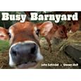 Busy Barnyard (A Busy Book) by John Schindel and Steven Holt