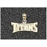 LogoArt Tennessee Titans 10K Gold Team Name Pendant